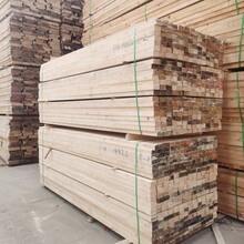 建筑木方白松木方工程木方模板木方