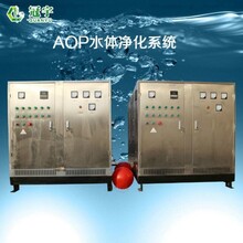 冠宇GY-AOP-30水体净化设备涉水批件