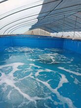 定做长方形帆布鱼池高密度养殖刀刮布鱼池图片