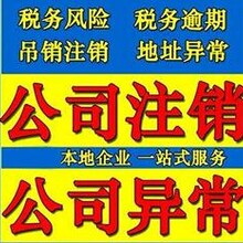 注册老城分公司详细指南