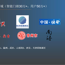 全民认证智能门锁图片