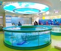 伊貝莎鋼化玻璃兒童泳池,鋼化玻璃兒童泳池戲水池室內大型恒溫泳池廠家直銷