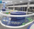 伊貝莎鋼化玻璃兒童泳池,恒溫游泳池設備價格