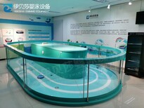 鋼化玻璃兒童泳池戲水池室內大型恒溫泳池品質優良圖片1