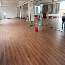 东莞惠州广州佛山PVC塑胶地板木纹片材石塑地胶办公室