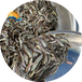 批发泥鳅苗广东泥鳅水花价格供应鲜活水产台湾泥鳅