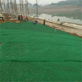 绿化护坡三维植被网厂家