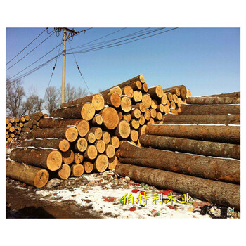 赤峰杨木板材木方木材市场