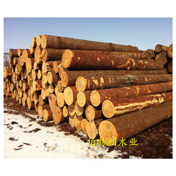 铁岭工程方木木材市场