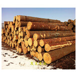 榆林杨木板材木方规格尺寸图片2
