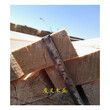 汉中樟松板材木方批发市场图片