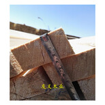 陕西方木木材木板批发市场图片4