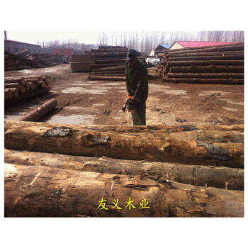 铜川樟松板材木方一立方多少钱