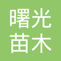 济宁市任城区曙光苗木种植基地