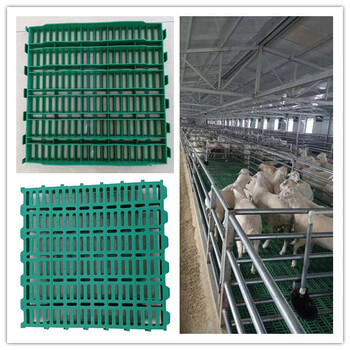 中兴畜牧塑料双筋加厚羊漏粪板600×600