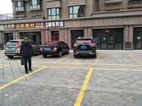 新疆策勒私家车托运到岳阳岳阳图片0