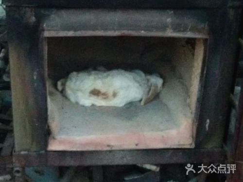 厦门宠物狗死亡处理价格一览表