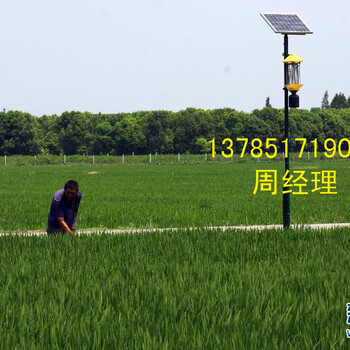 太阳能杀虫灯