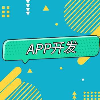 APP开发技术团队提供andriod软件开发、ios软件开发