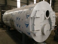 甘肃12吨低氮燃气锅炉欢迎来电垂询图片3