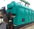 金華10噸燃煤生物質蒸汽鍋爐工業鍋爐-節能-控溫圖片