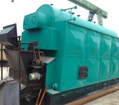 玉溪20吨燃煤生物质蒸汽锅炉工业锅炉-节能-控温