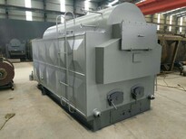 宜春1吨燃煤生物质蒸汽锅炉工业锅炉-节能-控温图片1
