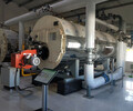天然氣蒸汽鍋爐型號：WNS6-1.25-Y/Q天然氣蒸汽鍋爐廠家供應