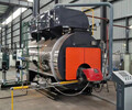 燃油氣鍋爐型號-WNS15-1.25Y/Q天然氣蒸汽鍋爐-廠家直供-售后保障