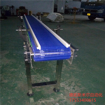非標(biāo)定制PVC塑料網(wǎng)帶輸送機(jī)食品級(jí)網(wǎng)帶輸送線設(shè)備廠家
