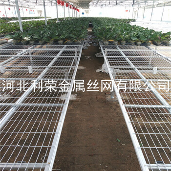 大棚苗床的介紹