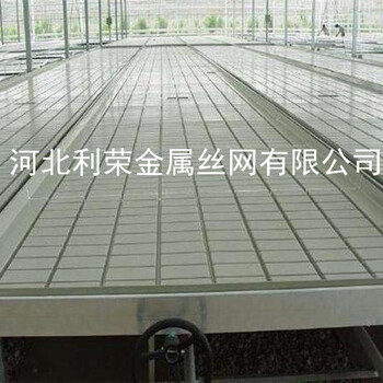 潮汐苗床是什么？