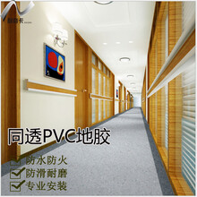 耐奇卡PVC同质透心胶地板医院抗碘地胶卷材2.0厚