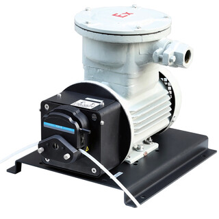 WG600F蠕动泵/智能型工业蠕动泵/13升自动灌装分配恒流泵图片3