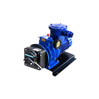 WG600F蠕动泵/智能型工业蠕动泵/13升自动灌装分配恒流泵图片5