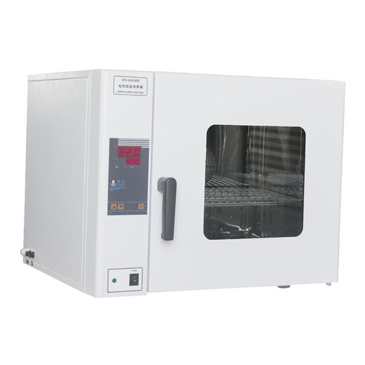 BGZ-246立式鼓风干燥箱，300度实验室恒温干燥箱