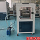 LGJ-10FD原位冷冻干燥机