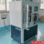 生物制品真空冷凍干燥機LGJ-30F中型硅油冷凍干燥機圖片3
