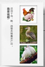 贵州全程追溯软件贵州家禽屠宰二维码溯源系统