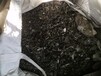 西安户区银焊条回收现场结算-废料