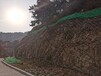 山西道路边坡DO/7.8/300主动防护网