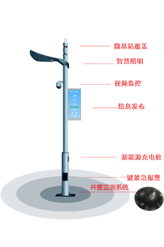 智慧路灯LED电子显示屏的用途/及相关验收报告办理