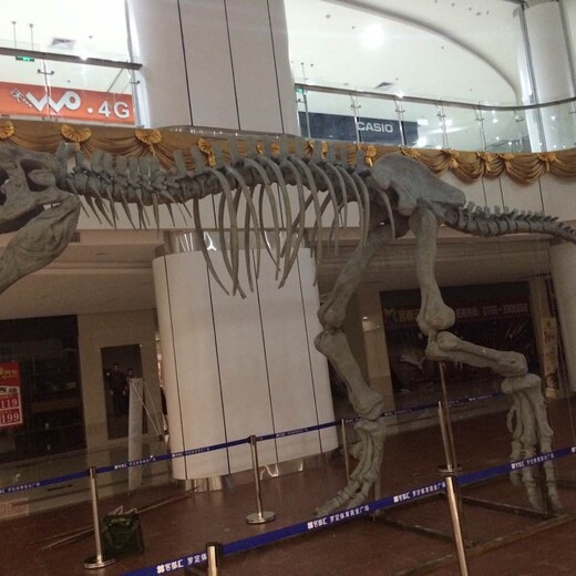 重庆恐龙展市场报价