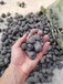 滁州陶粒厂家销售建筑陶粒回填陶粒粘土陶粒全国送货上门