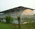 寿光旭峰温室农业从事温室大棚建设一体化，从业16年经验
