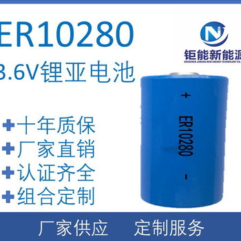 ER102803.6V锂亚电池锂亚硫酰氯500mAhER10280ER10280