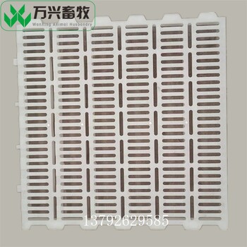 豬漏糞地板豬用復(fù)合漏糞板預(yù)仔豬地板