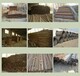 沈阳建筑钢材钢筋回收长期面向建筑工地螺纹钢筋回收采购