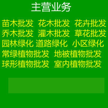 彭州绿化苗木批发,彭州绿化树苗批发市场