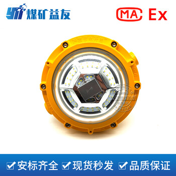 聊城DGS30/127L(A)礦用隔爆型LED感應(yīng)燈免維護(hù)感應(yīng)燈